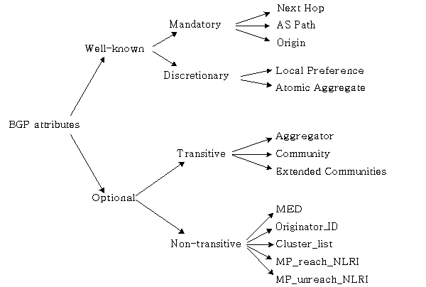 BGP Attributes Categories