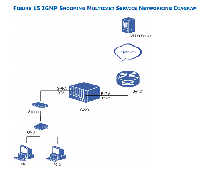 IGMP snooping multicast service networking
